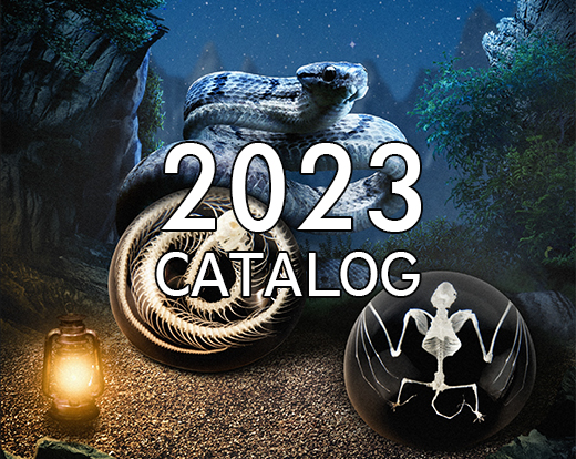 realinsect new product catalog 2022